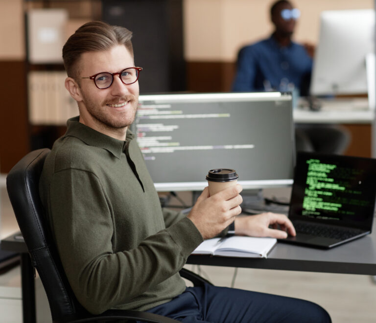 it entwickler freiberufler